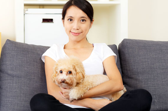 Pet Owners