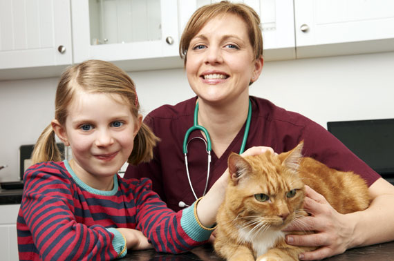 ABVA Vets