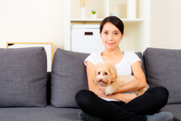 Pet Owner